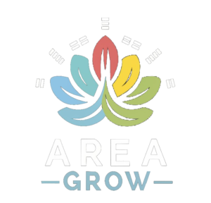 Arena Grow - Ecommerce Services